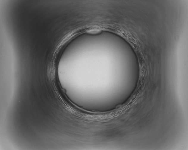 X0000113350005200909221153