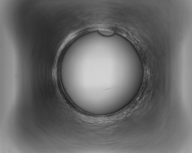 X0000113350006200909221153