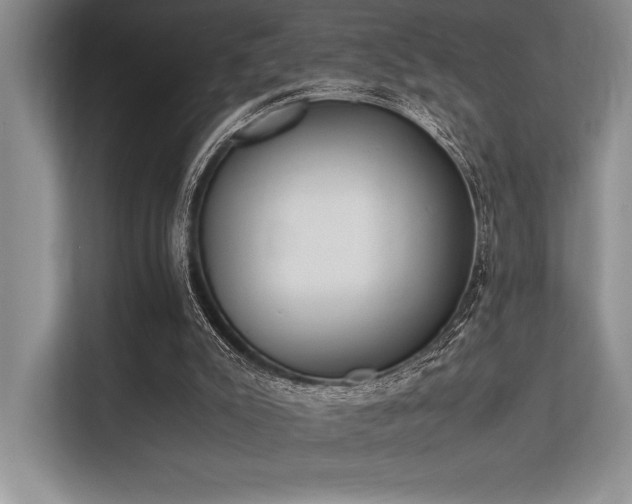 X0000113350007200909221153