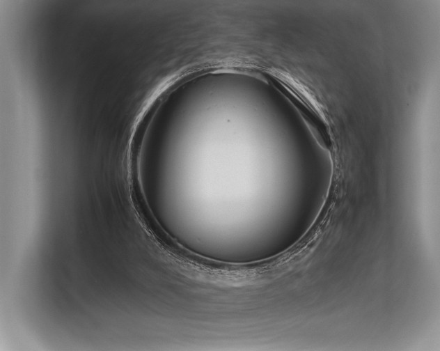 X0000113350008200909221153