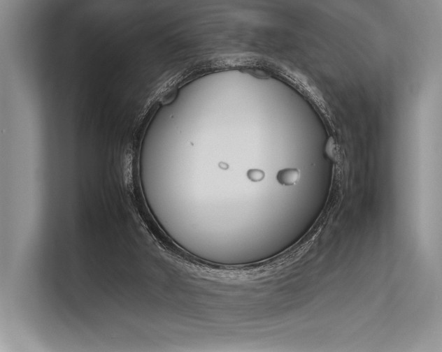 X0000113350010200909221153