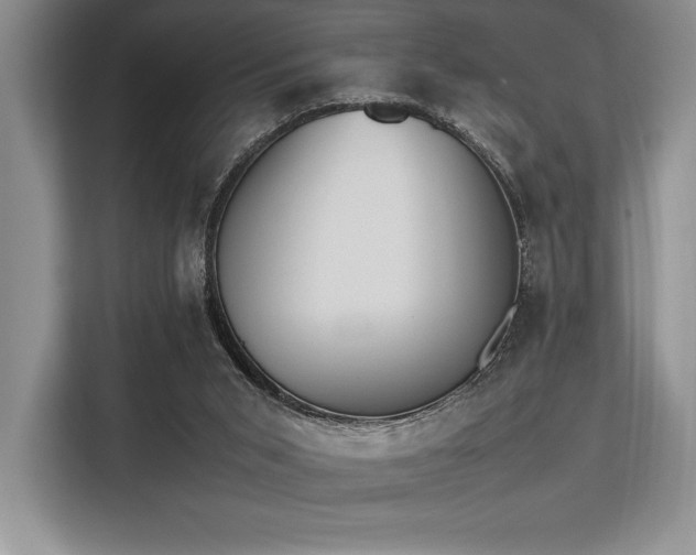 X0000113350015200909221153