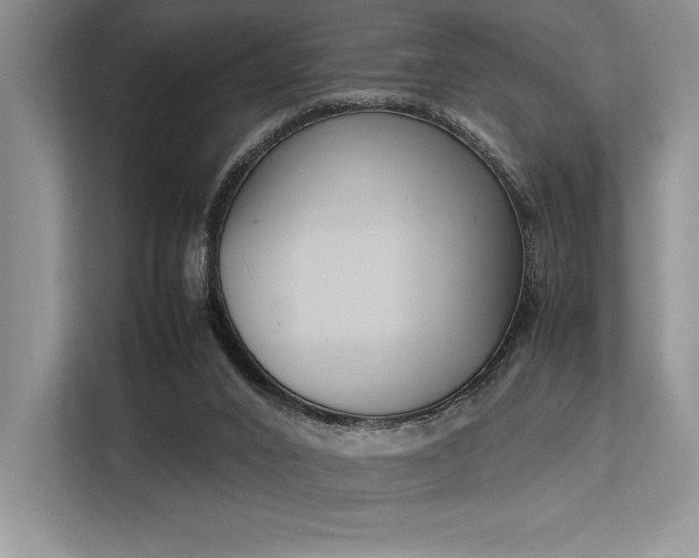 X0000113350016200909221153