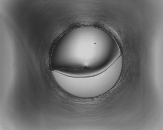 X0000113350017200909221153