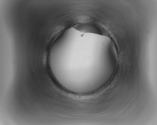 X0000113350018200909221153