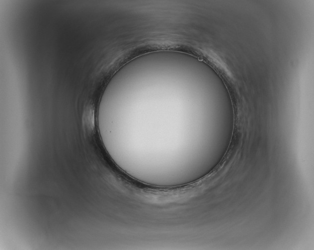 X0000113350021200909221153