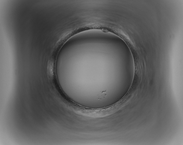 X0000113350023200909221153