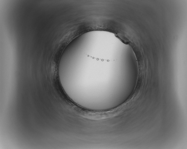 X0000113350029200909221153