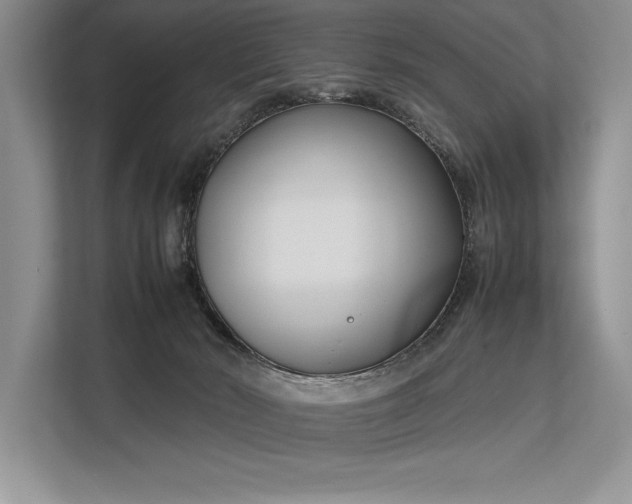 X0000113350030200909221153