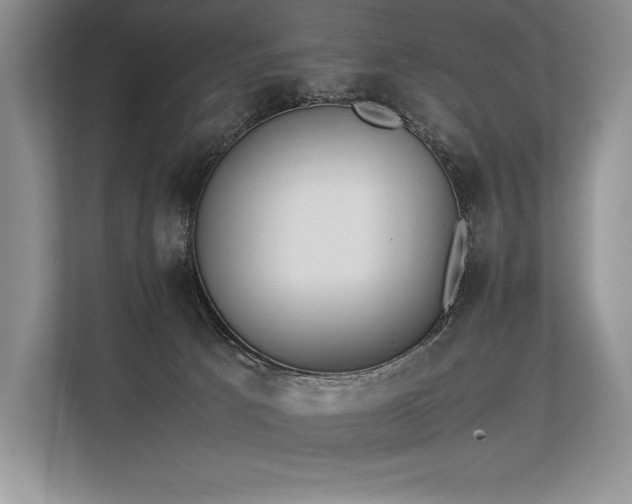 X0000113350033200909221153