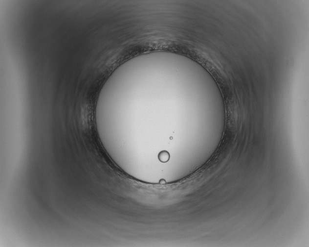 X0000113350034200909221153