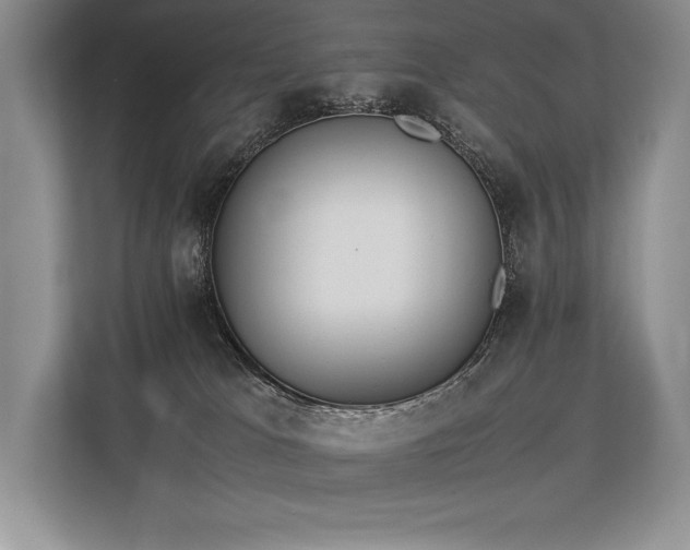 X0000113350037200909221153