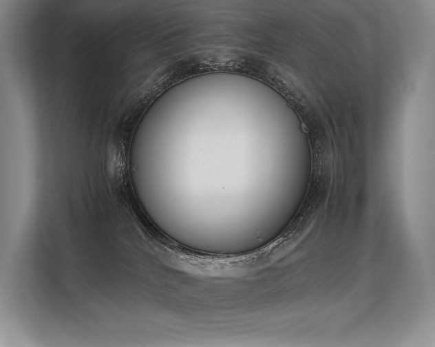 X0000113350040200909221153