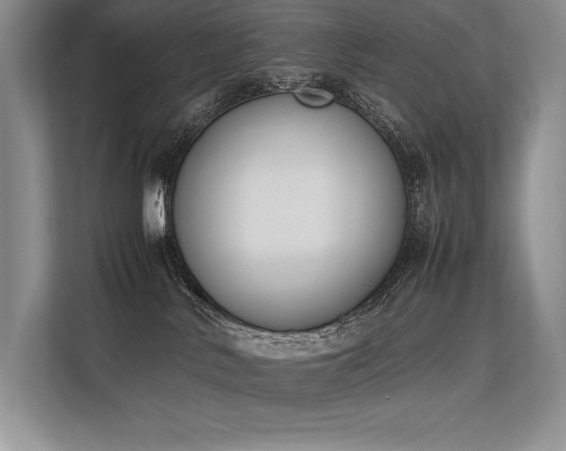 X0000113350042200909221153