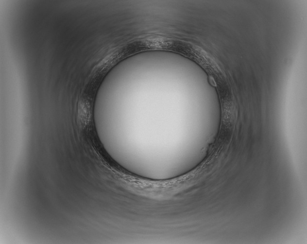 X0000113350043200909221153