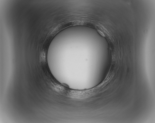 X0000113350045200909221153