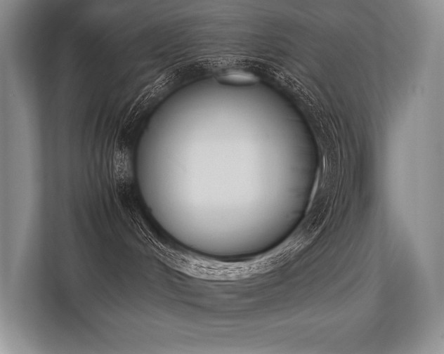 X0000113350048200909221153