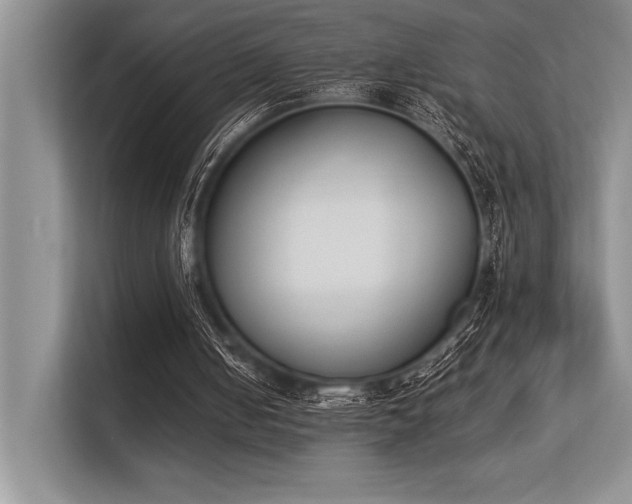 X0000113350050200909221152