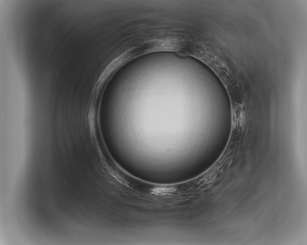 X0000113350051200909221152