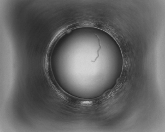 X0000113350053200909221152