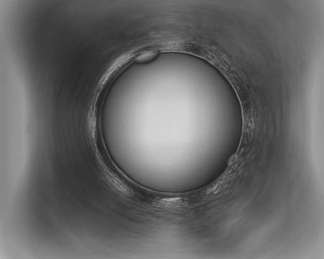 X0000113350054200909221152