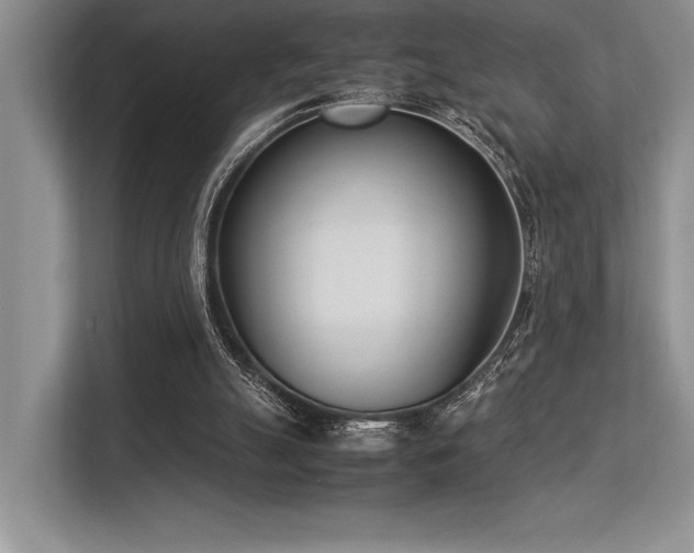 X0000113350055200909221152