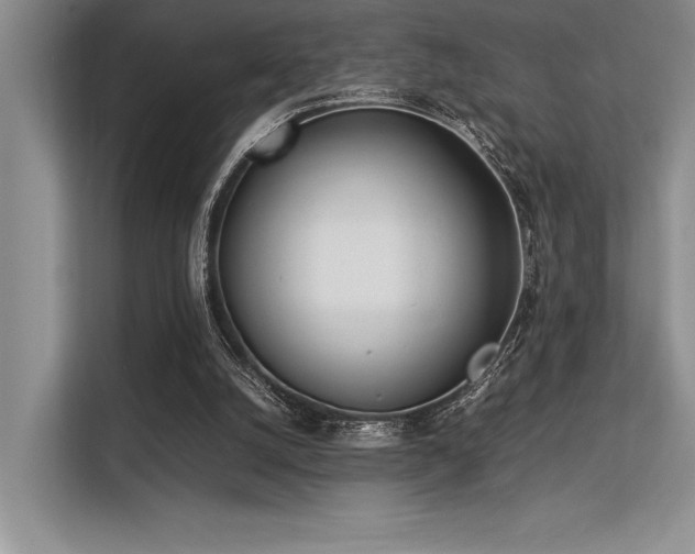 X0000113350056200909221152