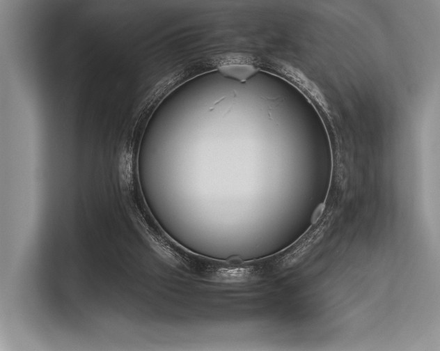 X0000113350057200909221152