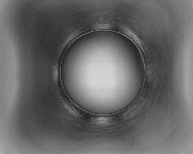 X0000113350059200909221152