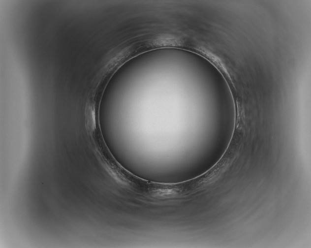 X0000113350061200909221152