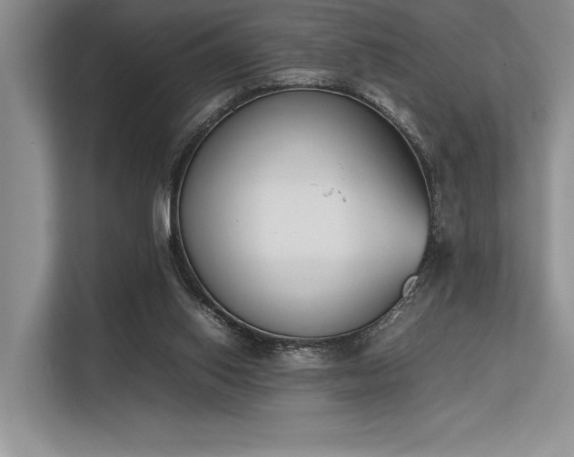 X0000113350062200909221152