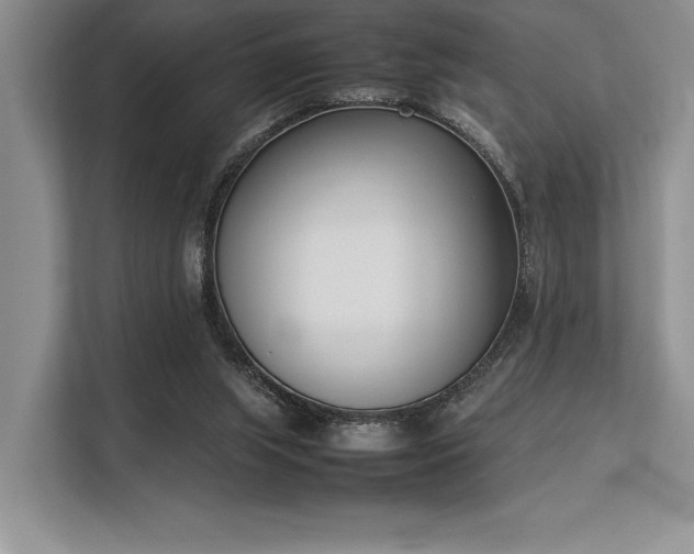 X0000113350063200909221152