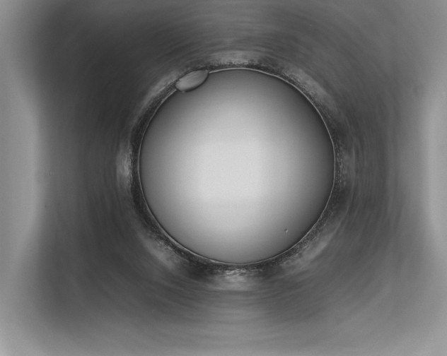 X0000113350064200909221152