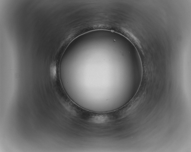X0000113350067200909221152