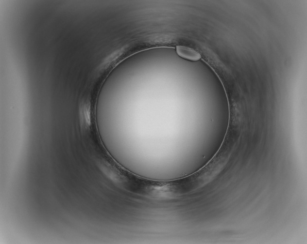 X0000113350068200909221152
