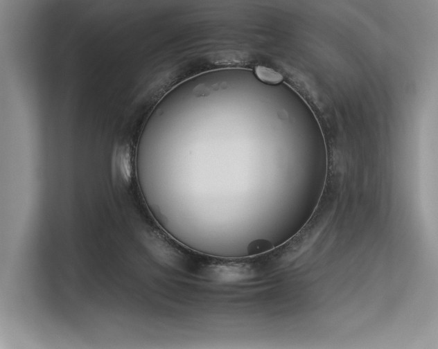 X0000113350069200909221152