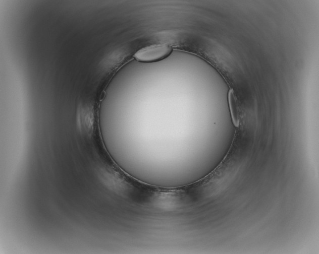 X0000113350072200909221152