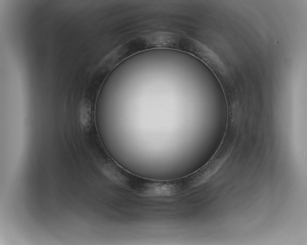 X0000113350073200909221152