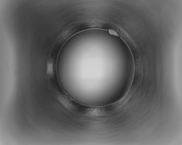 X0000113350074200909221152