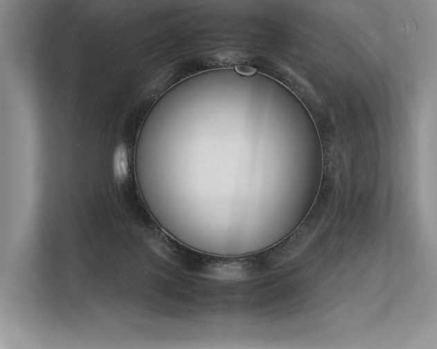 X0000113350075200909221152