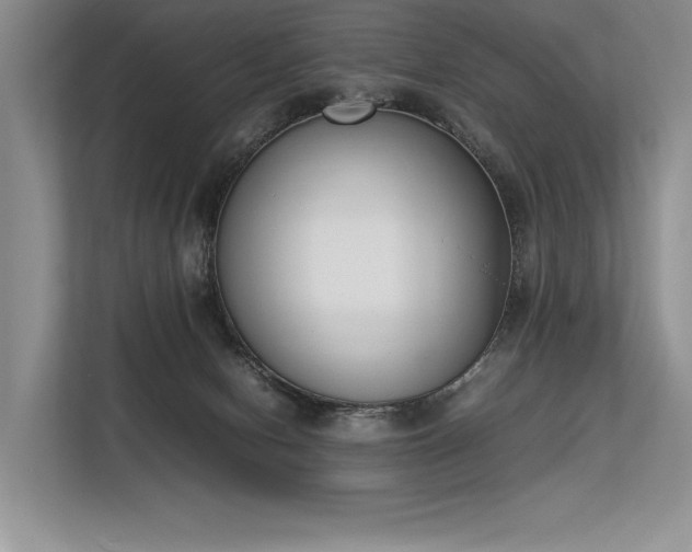 X0000113350078200909221152