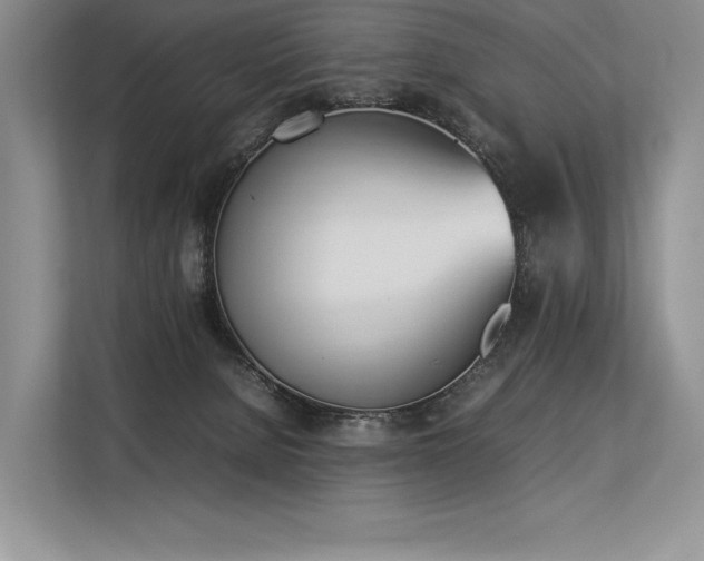 X0000113350080200909221152