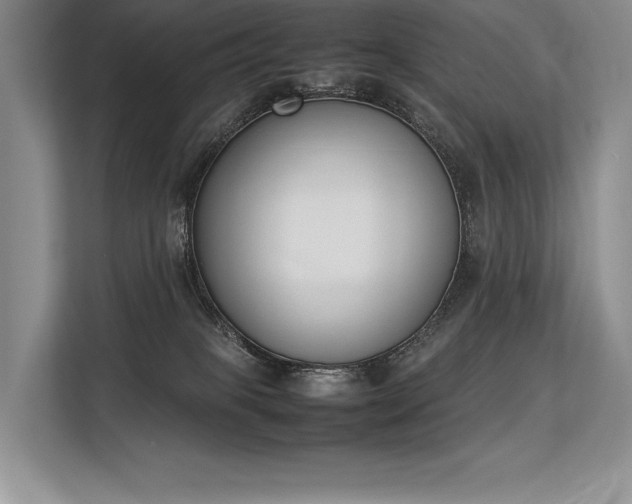 X0000113350085200909221152