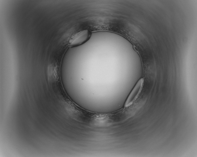 X0000113350088200909221152