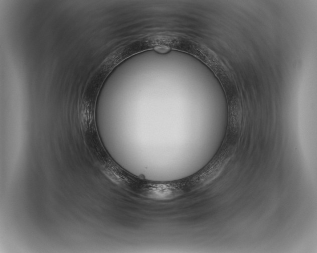 X0000113350091200909221153