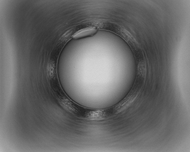 X0000113350092200909221153