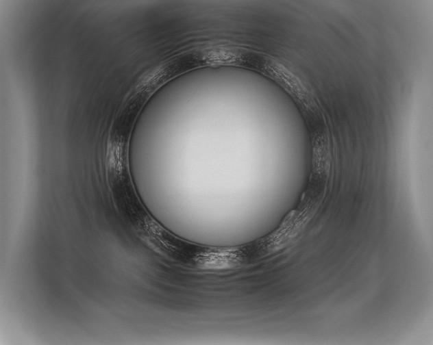 X0000113350093200909221153
