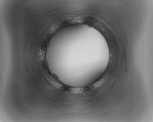 X0000113350096200909221153