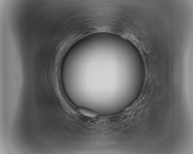 X0000113350097200909221152