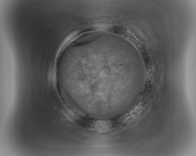 X0000113350101200909221152